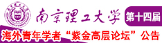 高清HD艹逼视频南京理工大学第十四届海外青年学者紫金论坛诚邀海内外英才！